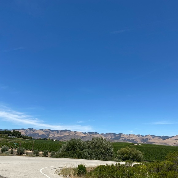 Meet your Posher, David - Picture 1 of 1